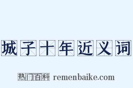 城子十年近义词是什么意思的图片